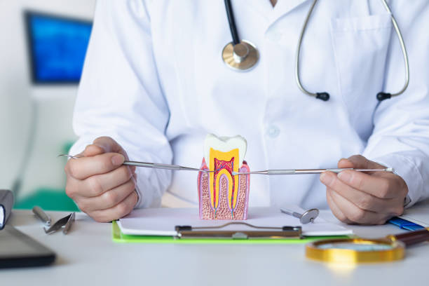 Best Urgent Dental Care for Toothaches in St Joseph, MI